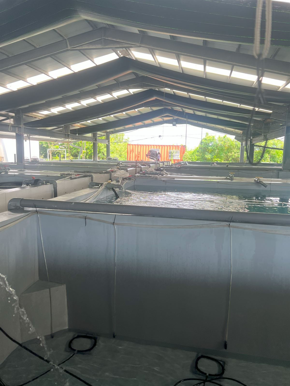 浚川國際 AQUA FISHER 台灣水產養殖與活體運輸